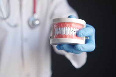 Doktor el, masada plastik diş modelini tutuyor. 