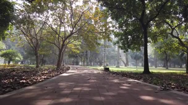 Stadsparker med gångväg tidigt på morgonen — Stockvideo