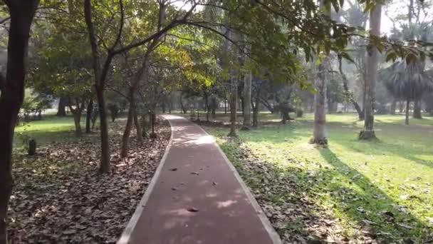 Parki miejskie z chodnikiem o poranku — Wideo stockowe