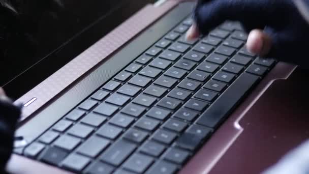 Mano hacker rubare i dati dal computer portatile dall'alto verso il basso — Video Stock