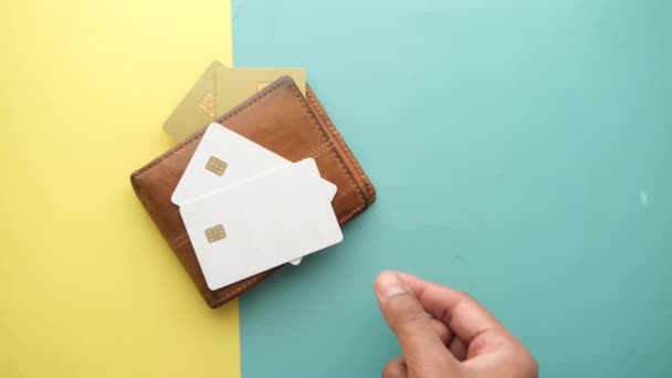 Carte di credito in un portafoglio su sfondo a colori — Video Stock