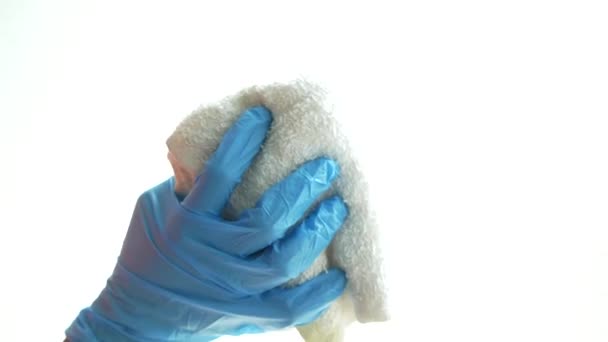 Gros plan de la main de la personne dans des gants nettoyage vitre — Video