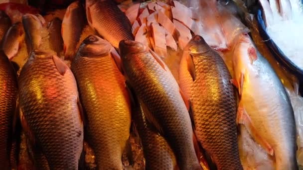 Выставка сырой рыбы на местном рынке в Бангладеш — стоковое видео