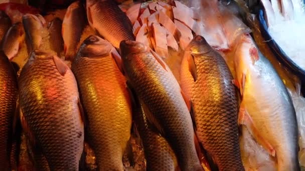 Raw fish display for sale at local market in Bangladesh — Stockvideo