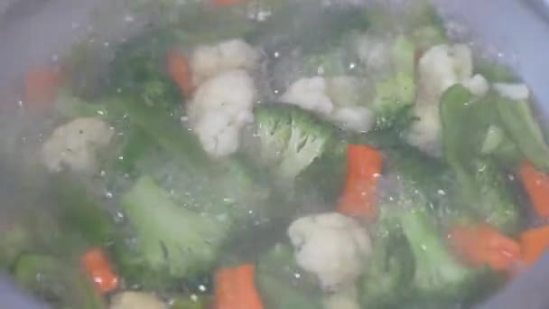 Приготування свіжого овочевого салату і на мисці — стокове відео