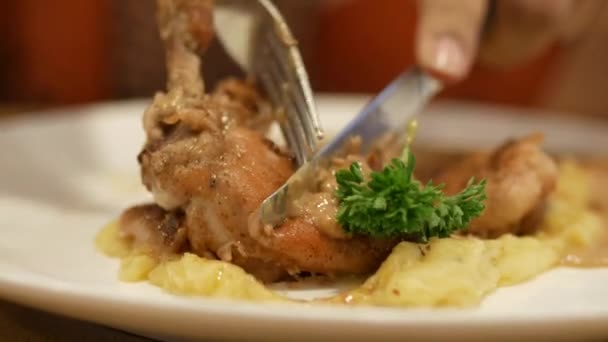 Κοτόπουλο σχάρας και πουρέ πατάτας σε πιάτο — Αρχείο Βίντεο
