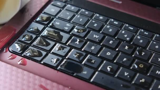 Разлив чая на клавиатуру ноутбука на столе — стоковое видео