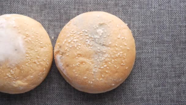 Brązowy chleb z pleśnią. Produkty zepsute — Wideo stockowe