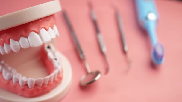 Plastic dental teeth model on pink background — Stock Video