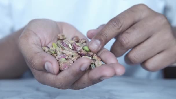 Close up de pistache porca na mão — Vídeo de Stock