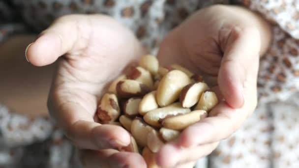 Brazilian nut on palm of hand — Stock Video