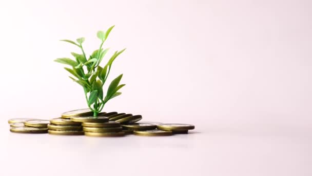 Investeringskoncept med plan som växer genom mynt. — Stockvideo