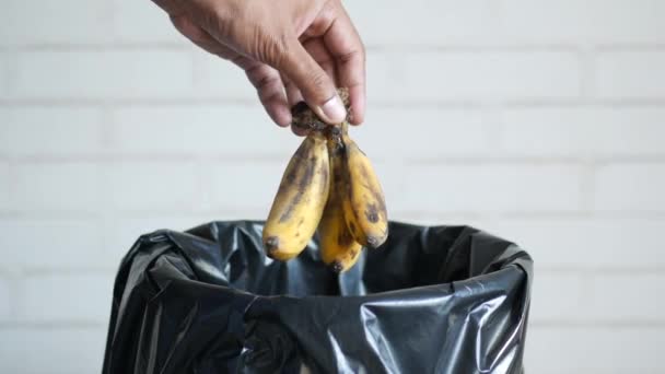 Membuang pisang di tempat sampah — Stok Video