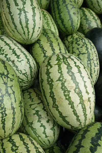 Displaying many fresh water melon — Stockfoto