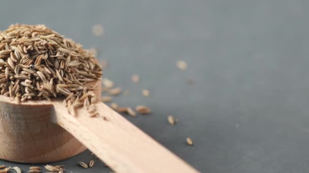 Spisskarve frø på skje på bordet, lukk – stockvideo