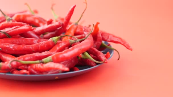 Red chili peppers on a plate on red background — Stock video