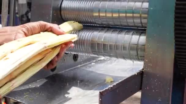 Sugarcane using to make sugar cane juice. — Stock Video