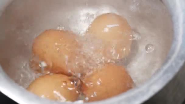 Sıcak suda kaynayan yumurtalara yaklaşın. — Stok video
