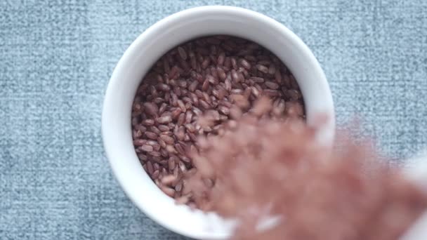 Slow motion av fallande rött ris i en skål på bordet, haradighi ris — Stockvideo