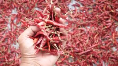 Kurutulmuş biberlerin üst görüntüsü .