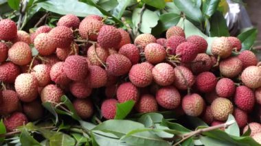 Yerel mağazada satılık birçok Lychee görüntüsü .