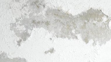  Duvardaki su sızıntısı boyaya zarar veriyor.