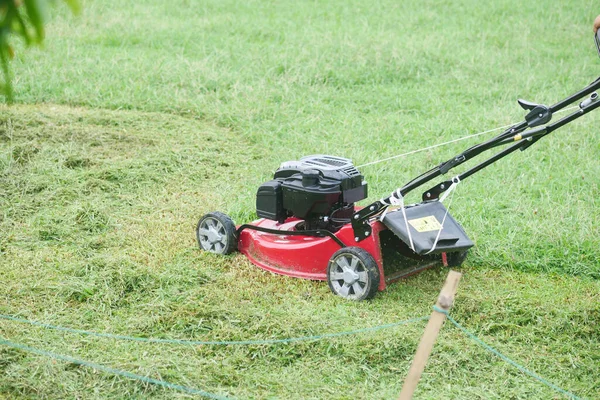 Lambat Gerak Mesin Pemotong Rumput Kebun — Stok Foto