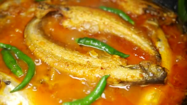 Close Homemade Indian Curry Fish — Stock Video