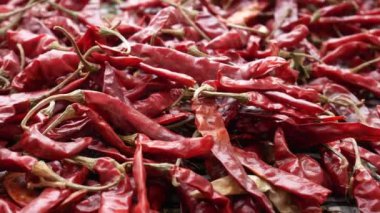 Yerdeki plastik torbada kurutulmuş biber. .