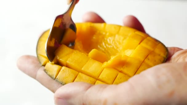Jedzenie Świeżych Soczystych Owoców Mango — Wideo stockowe