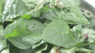 Masada taze ıspanak yaprakları