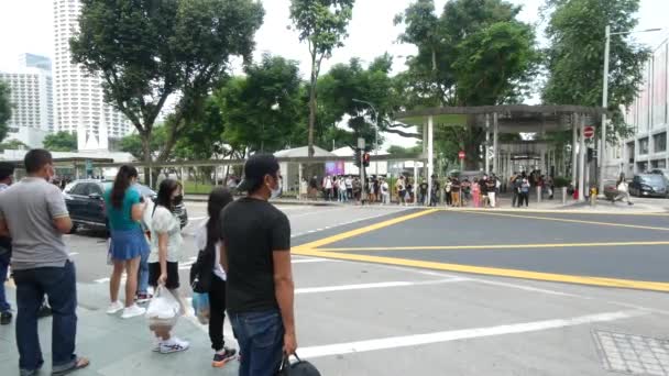 Grupo Pessoas Caminhando Juntas Marina Bay — Vídeo de Stock