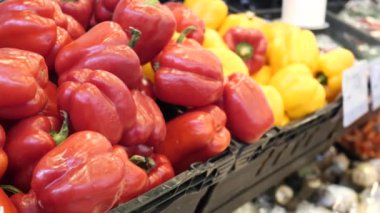 Yellow orange and red capsicum display for sale ,
