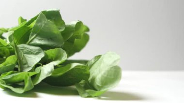 Masada taze ıspanak yaprakları