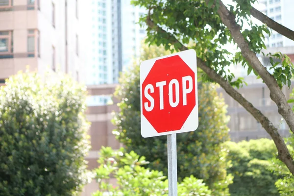 Stop Sign Empty Road — Stok fotoğraf