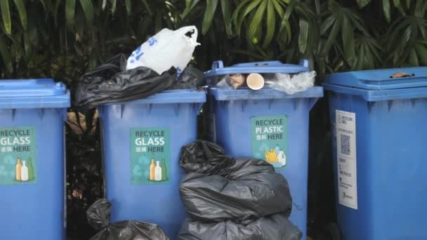 Singapore Czerwiec 2022 Zbieranie Pojemników Odpady Zewnątrz — Wideo stockowe