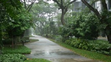 Signapore 'daki boş bir parkta Yağmurlu Gün ,