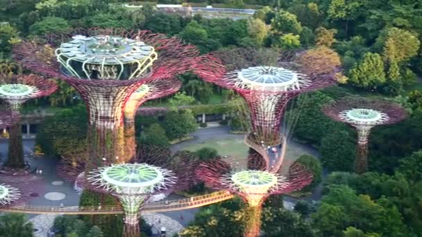 Singapore June 2022 Aerial Shot Gardens Bay Sunny Day — 图库视频影像
