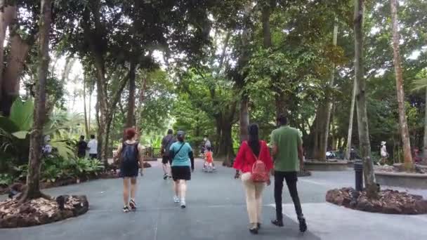 Singapore June 2022 People Walking National Orchid Garden — стоковое видео