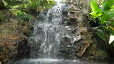 Güzel Şelale Orkide bahçesindeki doğal bir parkta Singapur .