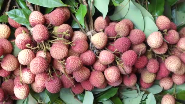 Fresh Lychee Table Close — Stockvideo