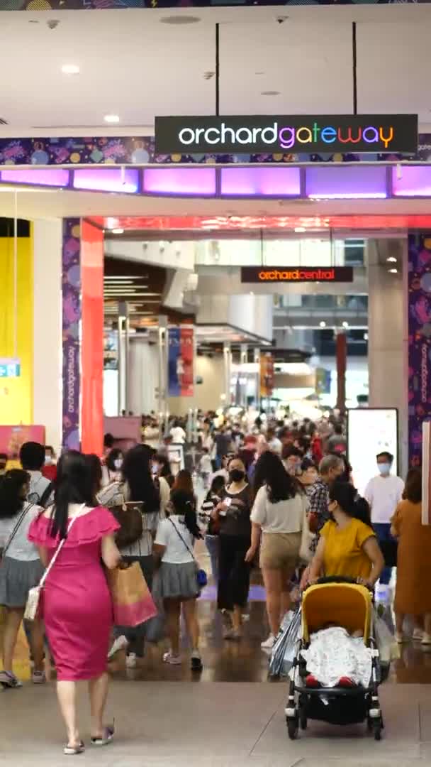 Singapore June 2022 Shoppers Walking Orchard Gateway — Αρχείο Βίντεο