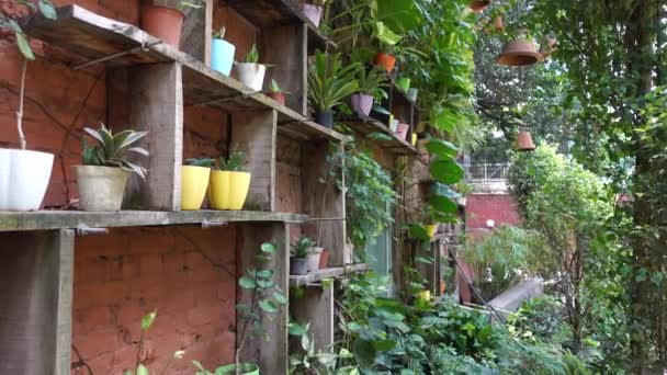 Muur Zit Vol Met Groene Planten — Stockvideo