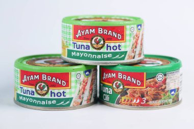 Singapore 1 june 2022 canned tuna isolated on white background ,