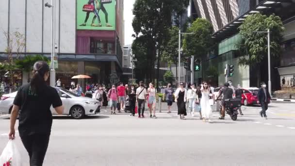 Grupo Pessoas Caminhando Juntas Marina Bay — Vídeo de Stock