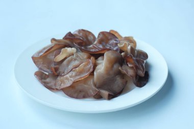 Kopyalama alanı olan beyaz arkaplanda siyah mantar ,