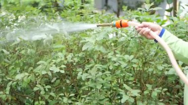  Bahçedeki fidanları sulamak..