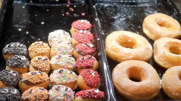 Exibição Donuts Chocolate Para Venda Loja Local — Vídeo de Stock