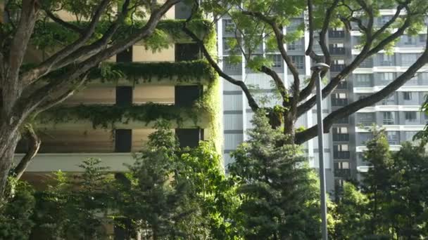 Edificio Con Plantas Que Crecen Fachada — Vídeo de stock