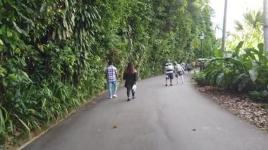 Singapur 11 Haziran 2022 Ulusal Orkide Bahçesi 'nde yürüyen insanlar 